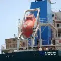 Freefall Davit