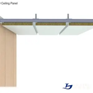 type_D_celing_panel